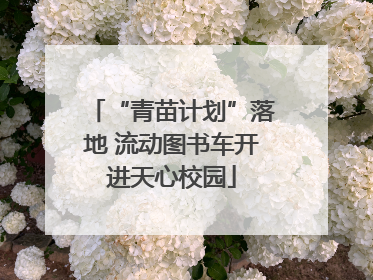 “青苗计划”落地 流动图书车开进天心校园