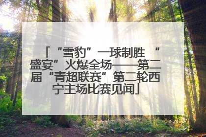 “雪豹”一球制胜 “盛宴”火爆全场——第二届“青超联赛”第二轮西宁主场比赛见闻