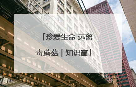 珍爱生命 远离毒蘑菇｜知识窗
