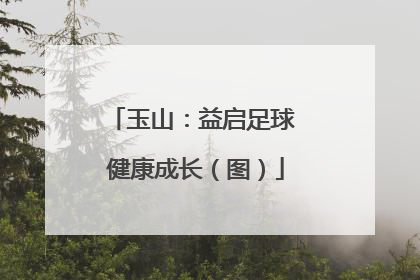 玉山：益启足球 健康成长（图）