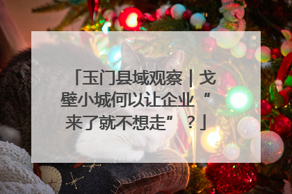 玉门县域观察｜戈壁小城何以让企业“来了就不想走”？