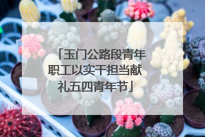 玉门公路段青年职工以实干担当献礼五四青年节
