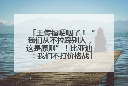 王传福哽咽了！“我们从不拉踩别人，这是原则”！比亚迪：我们不打价格战