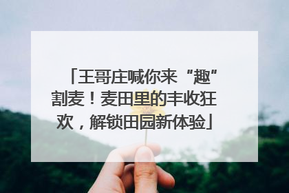 王哥庄喊你来“趣”割麦！麦田里的丰收狂欢，解锁田园新体验