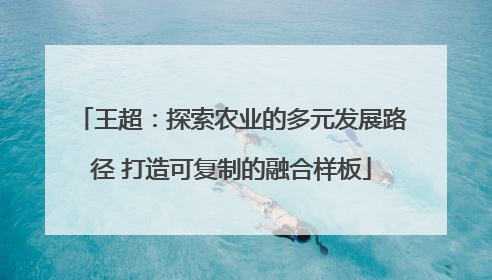王超：探索农业的多元发展路径 打造可复制的融合样板