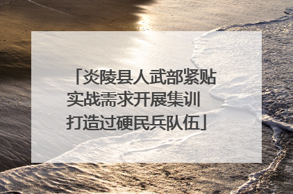 炎陵县人武部紧贴实战需求开展集训 打造过硬民兵队伍