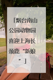 烟台南山公园动物园喜迎上海长颈鹿“新娘”