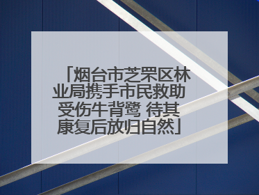 烟台市芝罘区林业局携手市民救助受伤牛背鹭 待其康复后放归自然