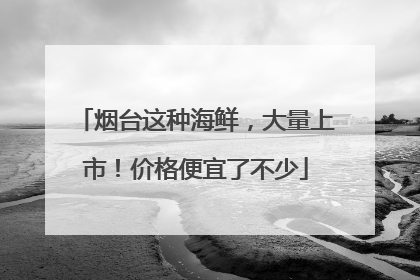 烟台这种海鲜，大量上市！价格便宜了不少