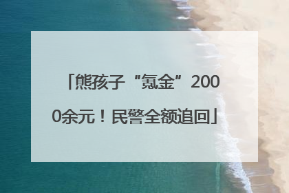 熊孩子“氪金”2000余元！民警全额追回