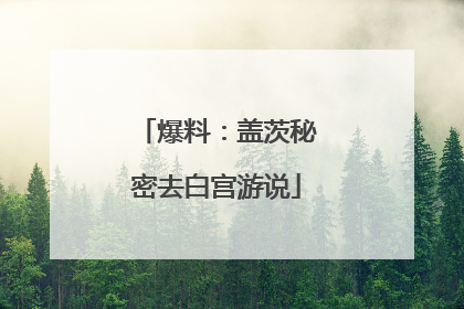 爆料：盖茨秘密去白宫游说