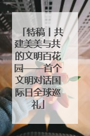 特稿丨共建美美与共的文明百花园——首个文明对话国际日全球巡礼