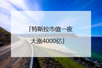 特斯拉市值一夜大涨4000亿