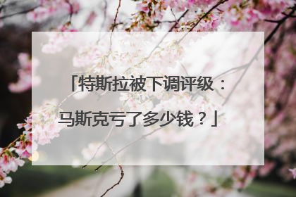 特斯拉被下调评级：马斯克亏了多少钱？