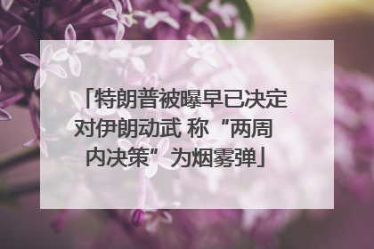特朗普被曝早已决定对伊朗动武 称“两周内决策”为烟雾弹