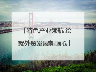 特色产业领航 绘就外贸发展新画卷