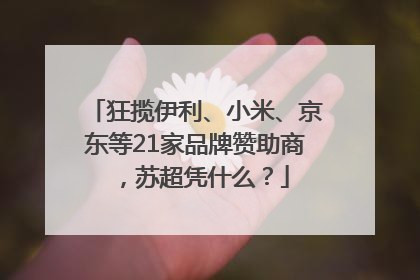 狂揽伊利、小米、京东等21家品牌赞助商，苏超凭什么？