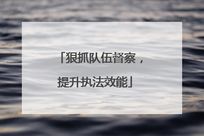 狠抓队伍督察，提升执法效能