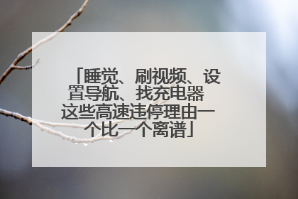 睡觉、刷视频、设置导航、找充电器 这些高速违停理由一个比一个离谱