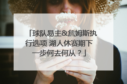 球队易主&詹姆斯执行选项 湖人休赛期下一步何去何从？