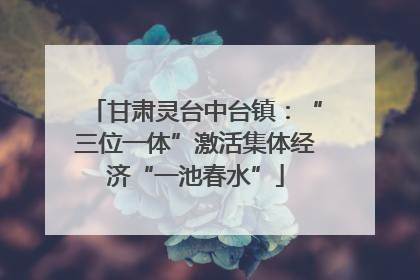 甘肃灵台中台镇：“三位一体”激活集体经济“一池春水”