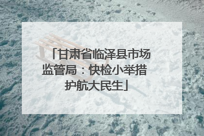 甘肃省临泽县市场监管局：快检小举措 护航大民生
