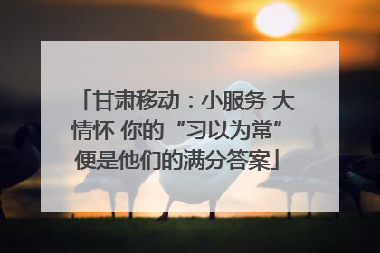 甘肃移动：小服务 大情怀 你的“习以为常”便是他们的满分答案