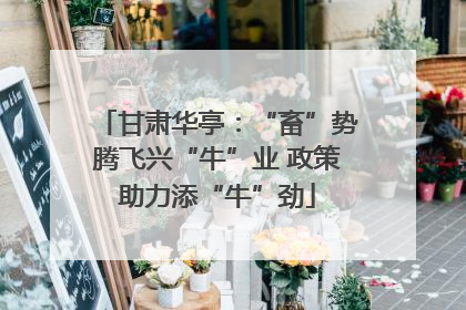 甘肃华亭：“畜”势腾飞兴“牛”业 政策助力添“牛”劲