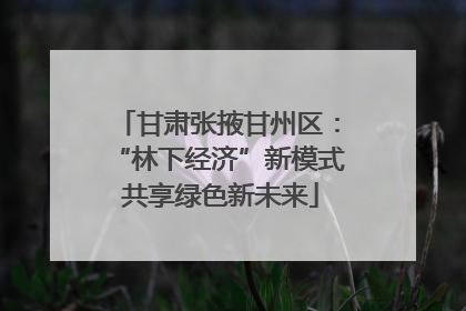甘肃张掖甘州区：“林下经济”新模式 共享绿色新未来