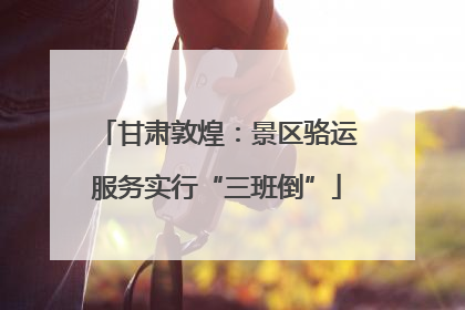 甘肃敦煌：景区骆运服务实行“三班倒”