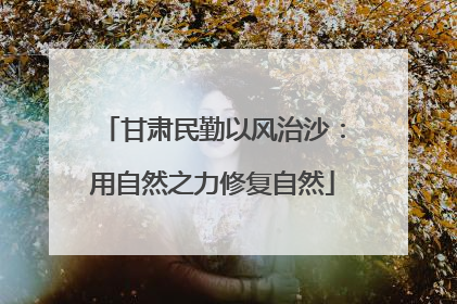 甘肃民勤以风治沙：用自然之力修复自然