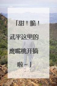 甜！脆！武平这里的鹰嘴桃开摘啦～