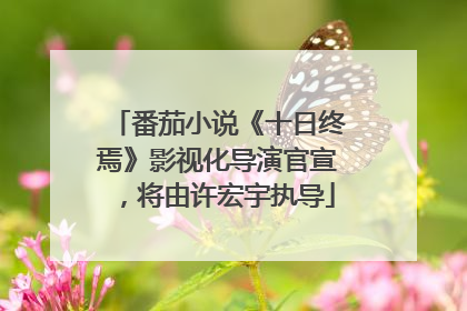 番茄小说《十日终焉》影视化导演官宣，将由许宏宇执导