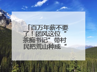 百万年薪不要了！团风这位“茶痴书记”带村民把荒山种成“绿色银行”