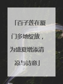 百子莲在厦门多地绽放，为盛夏增添清凉与诗意
