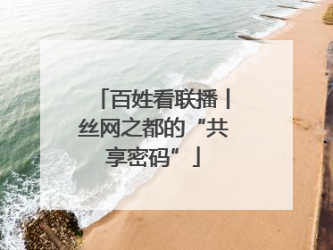 百姓看联播丨丝网之都的“共享密码”