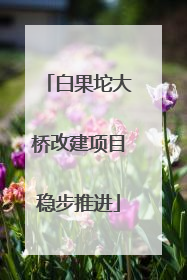 白果坨大桥改建项目稳步推进