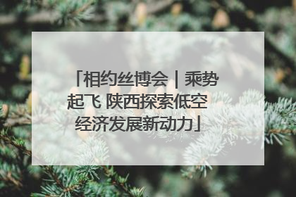 相约丝博会｜乘势起飞 陕西探索低空经济发展新动力