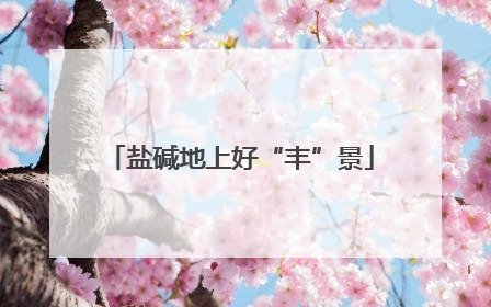 盐碱地上好“丰”景