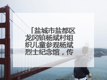 盐城市盐都区龙冈镇杨斌村组织儿童参观杨斌烈士纪念馆，传承红色基因
