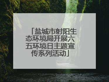 盐城市射阳生态环境局开展六五环境日主题宣传系列活动