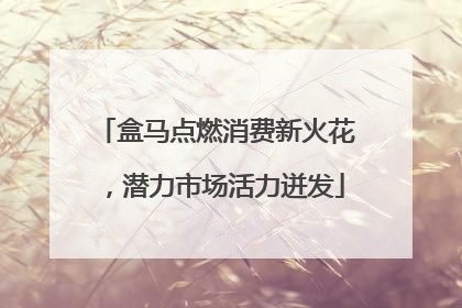 盒马点燃消费新火花，潜力市场活力迸发