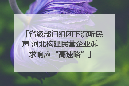 省级部门组团下沉听民声 河北构建民营企业诉求响应“高速路”