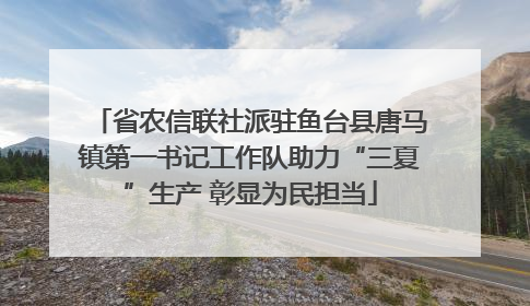 省农信联社派驻鱼台县唐马镇第一书记工作队助力“三夏”生产 彰显为民担当