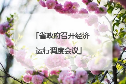 省政府召开经济运行调度会议