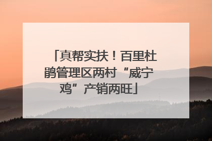 真帮实扶！百里杜鹃管理区两村“威宁鸡”产销两旺
