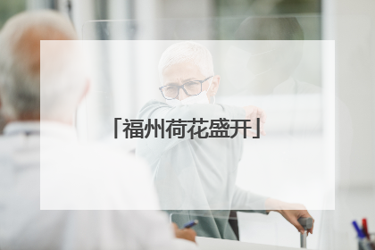 福州荷花盛开