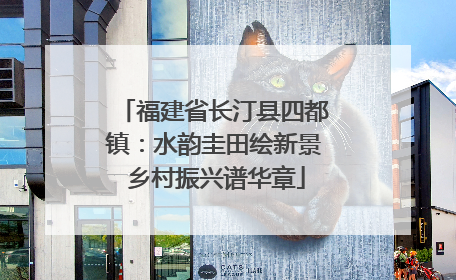 福建省长汀县四都镇：水韵圭田绘新景 乡村振兴谱华章