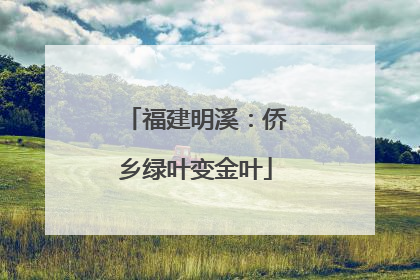 福建明溪：侨乡绿叶变金叶
