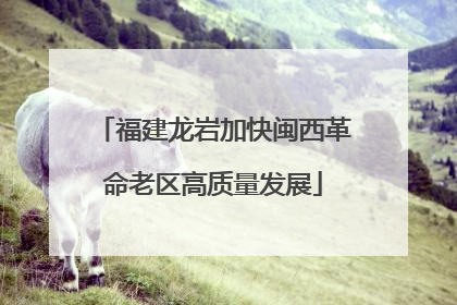 福建龙岩加快闽西革命老区高质量发展